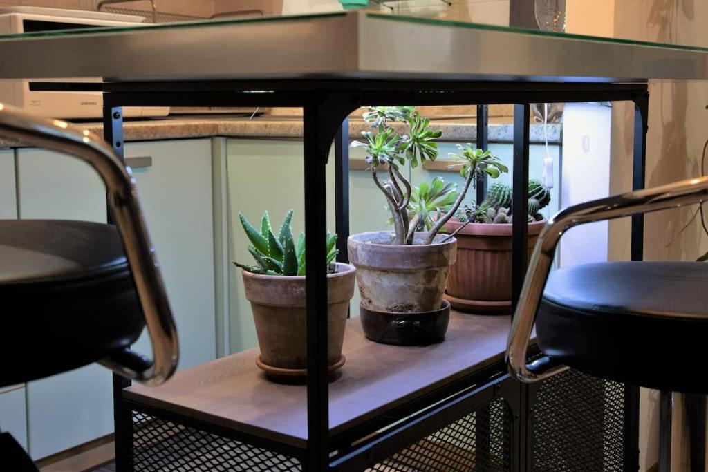 Apartament Casa Spezia - Metro Vicina, Wi-Fi Rapido & Netflix Turyn Zewnętrze zdjęcie